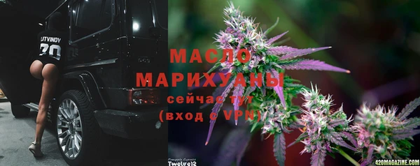 твердый Магас