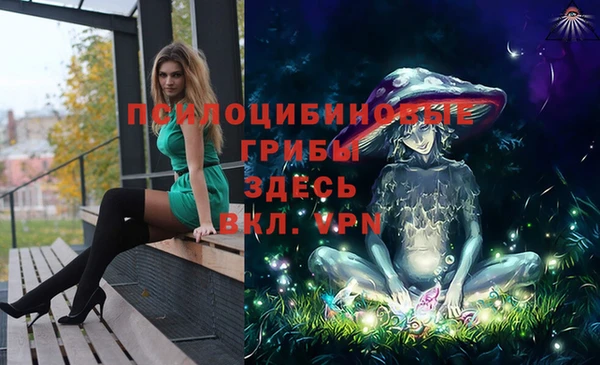 твердый Магас