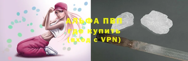 твердый Магас