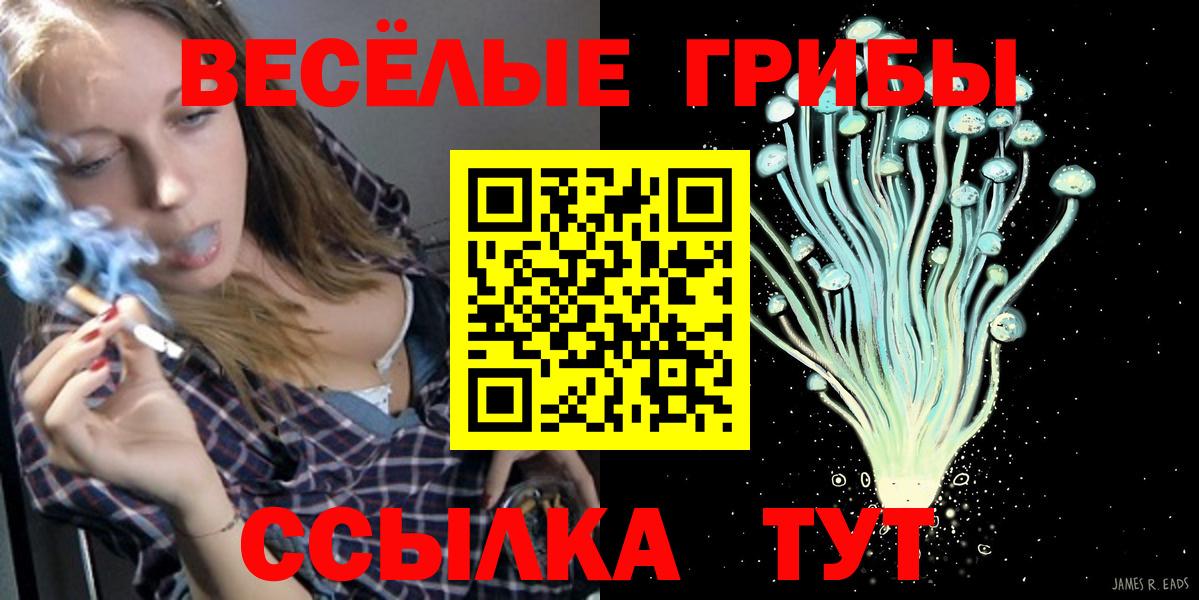 Псилоцибиновые грибы Cubensis  Вход с VPN  Волжский 