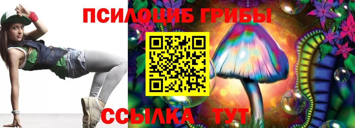 Галлюциногенные грибы Psilocybe Волжский