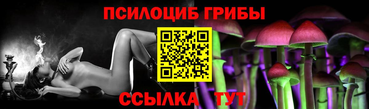 цены   Волжский  Галлюциногенные грибы Psilocybe  Галлюциногенные грибы MAGIC MUSHROOMS 